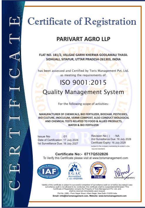 Certificate 5