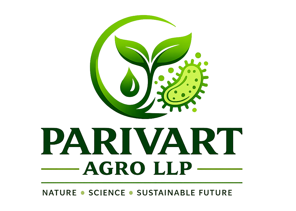 logo-icon