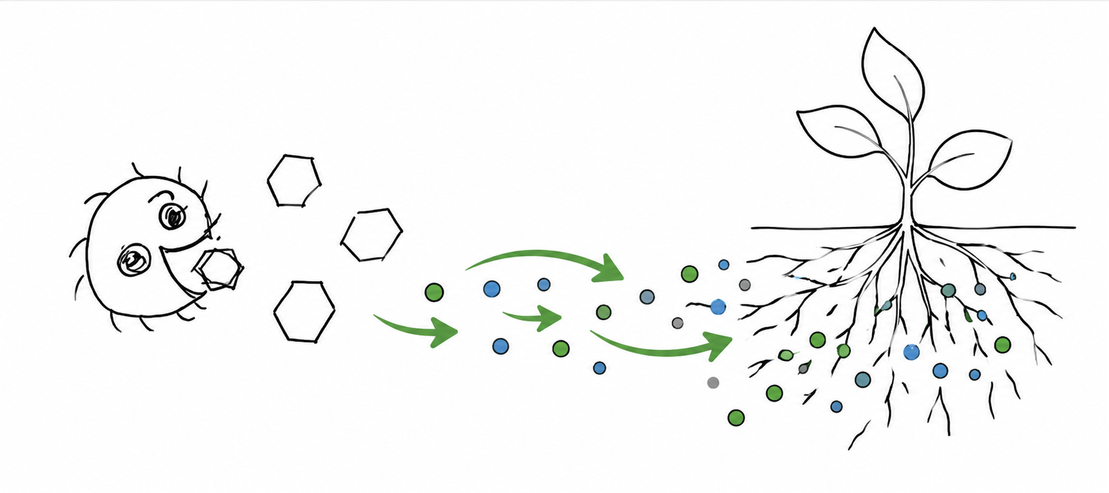 Nutrient Recycling